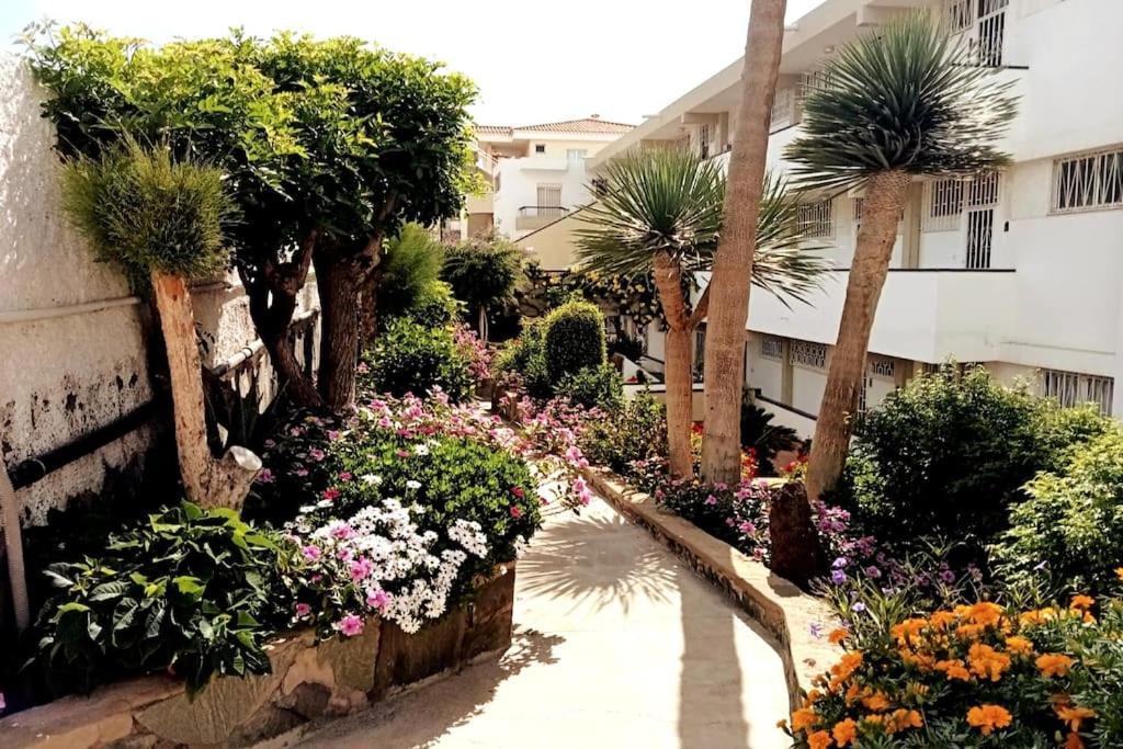Apartment With Large Terrace, 10 Meters From Playa De Las Burras San Bartolomé Eksteriør billede